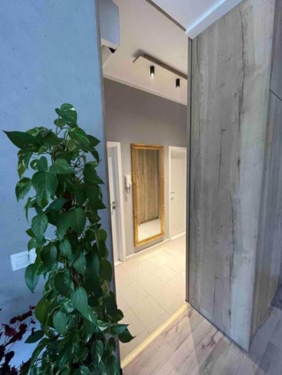 Cozy Close To The Center * Pressburg